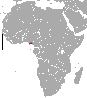 Buettikofer's Shrew