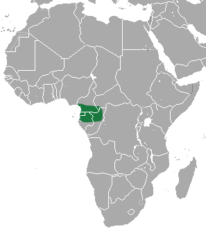 Long-footed Shrew