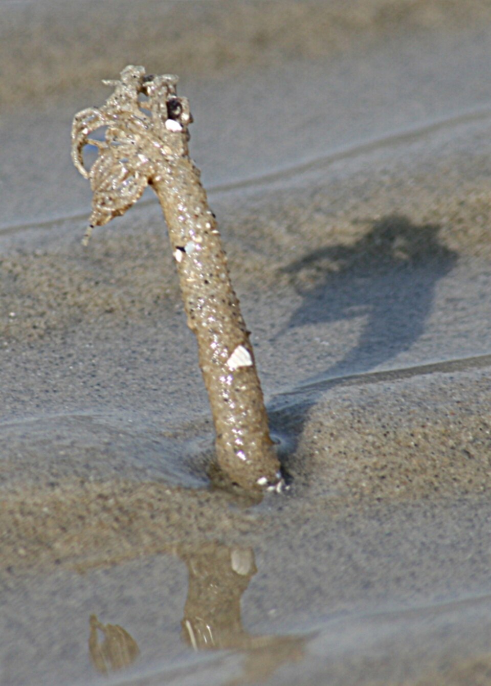 Sand Mason