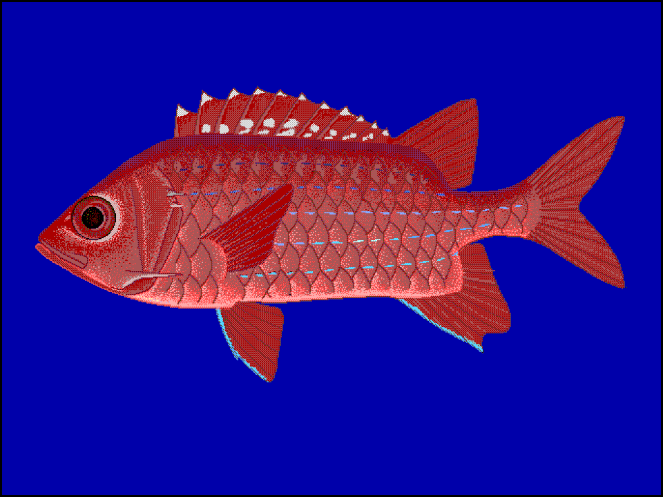 Tahitian Squirrelfish